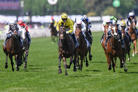 free bets for melbourne cup|Melbourne Cup tips 2023: the runners, the odds, the verdict for .
